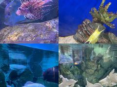 -正佳极地海洋世界