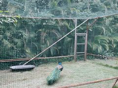 -厦门日月谷温泉渡假村