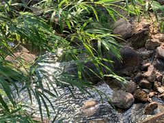 -广州白江湖森林公园