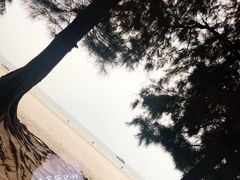 -银沙滩浴场