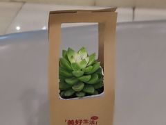 -VT101维多利广场