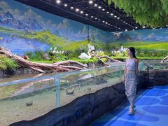 -海合安成都极地海洋公园