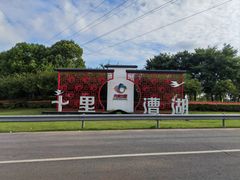 -漕湖湿地公园