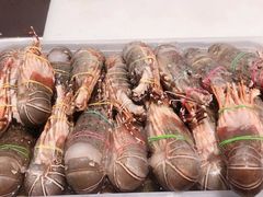 -半岛听涛蒸汽海鲜自助(K11店)