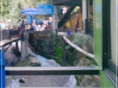 -将军关探险漂流