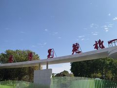 -厦门园林博览苑