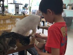 -平行世界·猫咖(首经贸店)