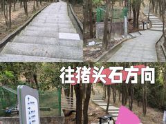 -火炉山森林公园