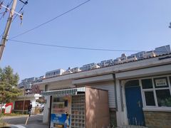 -长春市南湖公园