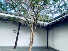 -上海醉白池公园