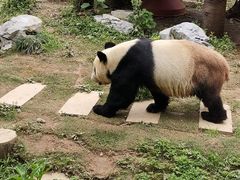 -南昌动物园