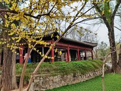 -碑林公园