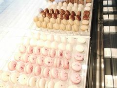 -BLACKSWAN黑天鹅(环球店)