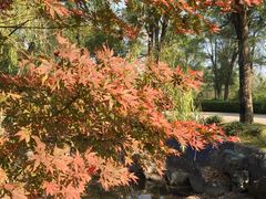 -Club Med地中海俱乐部·桂林度假村