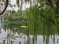 -重庆彩云湖湿地公园