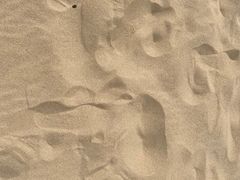 -碧海金沙