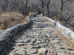 -阳台山自然风景区