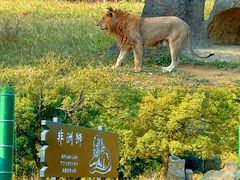 -杭州野生动物世界