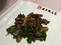 -披云山庄