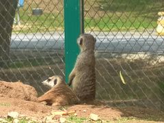 -秦皇岛野生动物园