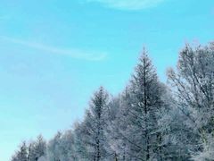 -多乐美地滑雪场