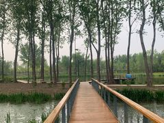 -东郊湿地公园