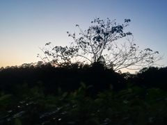 -火炉山森林公园