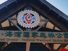 -上海海湾国家森林公园