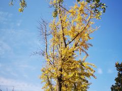 -苏州河梦清园环保主题公园