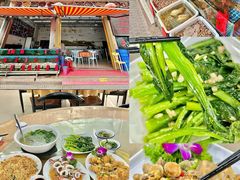 -广东惠东海龟国家级自然保护区