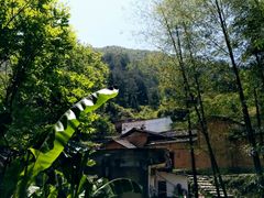-杨家堂村