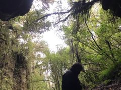 -怀托摩萤火虫洞