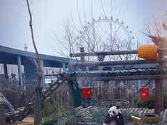 -大连森林动物园