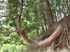-含鄱口