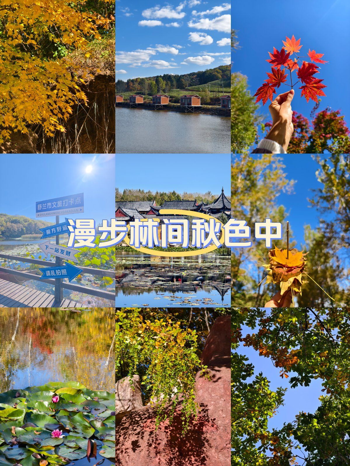 93 舒兰市301国家森林公园