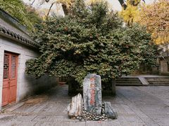 -青岛崂山太清宫