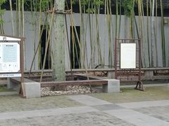 -汇龙潭