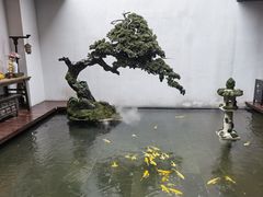-觀芷隐轩
