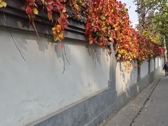-玲珑塔公园