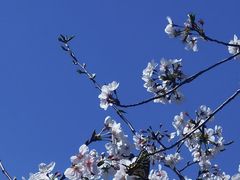 -惠山国家森林公园