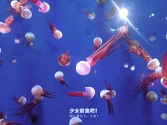 -成都浩海立方海洋公园