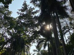 -广州长隆野生动物世界