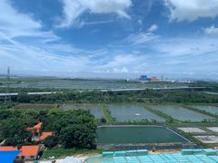 -百万葵园