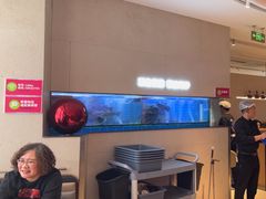 -老板恋上鱼(恒隆广场店)