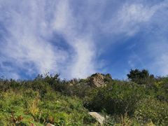 -白草畔自然风景区