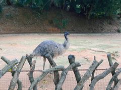 -深圳野生动物园