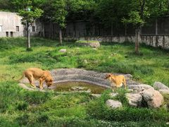 -西安秦岭野生动物园