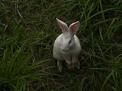 -养云安缦吧THE BAR