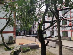 -缙云山景区