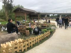 -秀丽东方